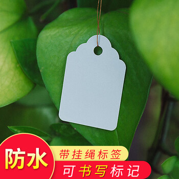 西普顿100张带绳塑料标签植物吊签园艺盆栽小挂牌多肉标签标记标识牌