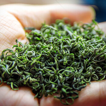 朵贝茶2022新茶绿茶茶叶浓香型春茶原产地正宗散茶贵州高山口粮茶500g