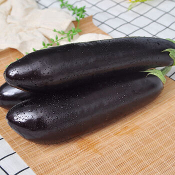 新鲜长茄紫皮茄子农家自种生吃蔬菜黑嫩绿把长茄现摘现发批发人工精选