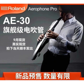 罗兰电吹管电子管电吹萨克斯型号ae30定制款ae30