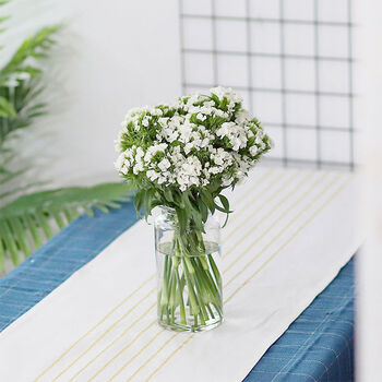 旧故里 相思梅鲜花石竹梅速递鲜花云南基地直发批发办公家用送礼 白色