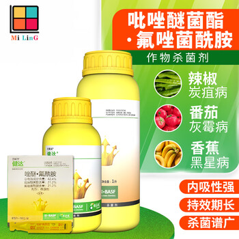 德国巴斯夫健达草莓葡萄番茄灰霉病西瓜蔬菜白粉病农药建达剂100ml