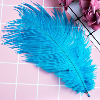 小羽毛ins创意拍照梦幻风格鹅毛鸵鸟毛美甲配饰香水仙女摆拍装饰布景