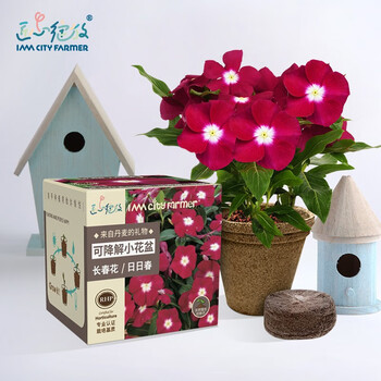 Iam City Farmer可降解花盆套装 Iam City Farmer 长春花可降解花盆套装进口花种子室内阳台种植好种易开花儿童种植 小盆栽 行情报价价格评测 京东