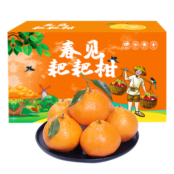 鲜菓篮 四川春见耙耙柑 新鲜丑柑水果应季粑粑柑时令整箱柑橘 8斤 (70-80MM)品质精品装 源产地直发水果