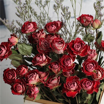 干花花束玫瑰花ins北欧风小清新家居蔷薇花花束办公摆设客厅装饰惊艳泡泡30朵不含纸袋干树枝 图片价格品牌报价 京东