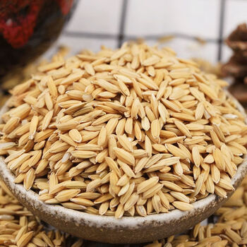 xywlkj稻谷水稻带壳稻子带壳大米水稻粮食喂鸡喂鸭鸽子饲料1斤3斤5斤5