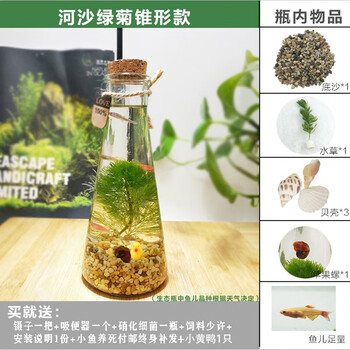 微景观生态瓶观赏鱼虾好养活真水草迷你桌面小鱼缸diy作业礼物生态瓶微景观水族箱造景斗鱼缸韩锦生态瓶锥形河沙绿菊花 图片价格品牌报价 京东