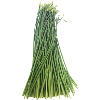 源外园新鲜韭菜苔韭菜杆韭花新鲜蔬菜农家自种500g*2