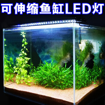 Odyssea奥德赛鱼缸水族箱照明灯架海水缸草缸淡水缸led灯蓝白光顶灯水草灯蓝白光led600 90 100cm缸用 图片价格品牌报价 京东 Odyssea奥德赛鱼缸水族箱照明灯架海水缸草缸淡水缸led灯蓝白光顶灯水草灯蓝白光led600 90 100cm缸用 图片价格品牌报价 京东