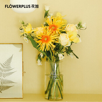 Flowerplus花加悦花简约混合订阅花束隔周配送水养装饰创意生日礼物鲜花速递订十二个月周六收花 图片价格品牌报价 京东 Flowerplus花加悦花简约混合订阅花束隔周配送水养装饰创意生日礼物鲜花速递订十二个月周六收花 图片价格品牌报价 京东