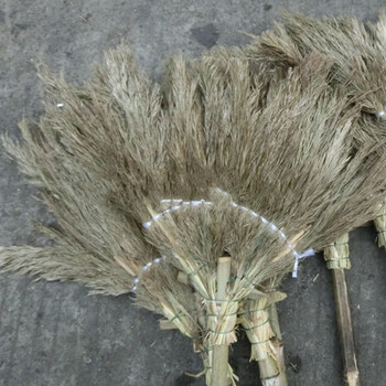 芦苇扫把芦花扫帚 芦苇扫帚 装潢扫把 扫细灰扫把 清洁用品大扫帚把子