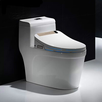 a款u型香槟金一体式智能马桶 220mm