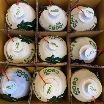 春光岛泰国网红酷可椰椰青易拉开大果香水椰青孕妇新鲜椰子整箱 4粒装