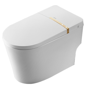 箭牌 AKE1131智能马桶怎么样?直击体验感受