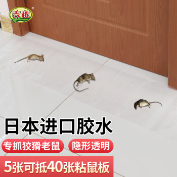 吉越捕鼠神器:历史价格走势、销量趋势分析解读