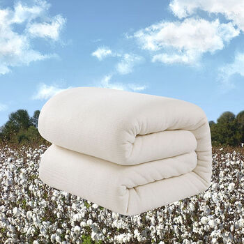 花被新疆床垫200cm褥子棉絮加厚春秋棉花被