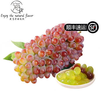 芒司令顺丰 茉莉香葡萄 新鲜水果无籽提子当季采摘农家种植孕妇水果