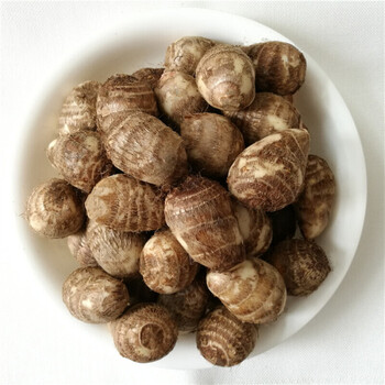 山东毛芋头小毛芋头芋艿新鲜清香软糯粉嫩味道棒10斤