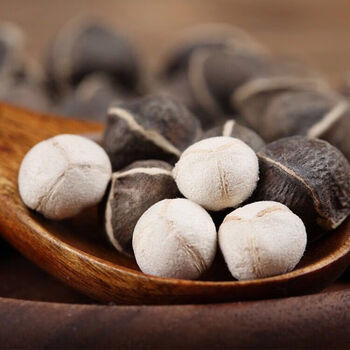 特级超大辣木籽正宗进口野生老树辣木籽中大特大50g250