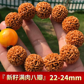 原籽金刚菩提手串男士女士大金刚菩提子佛珠手链文玩念珠7七8八瓣原籽