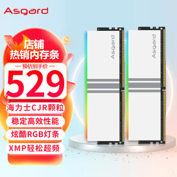 阿斯加特（Asgard）32GB(16Gx2)套装 DDR4 3600 台式机内存条 RGB灯条-海力士CJR颗粒-女武神·瓦尔基里系列 