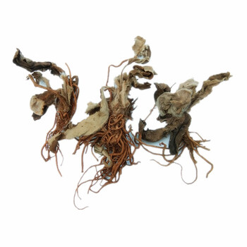 潽禧草堂 中药材 叶下花 别名:地黄连 追风箭 500克