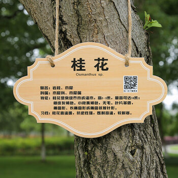 牌子植物绿化信息牌铭牌树木介绍标识牌吊牌爱护花草果树吊sp0910x7cm