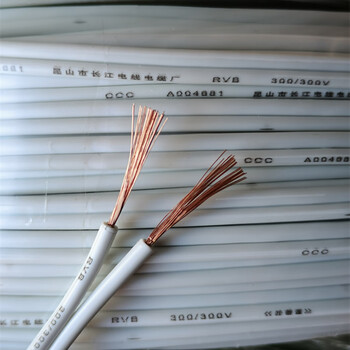 御舵 白色平行线双并线扁平线2芯rvb2*0.