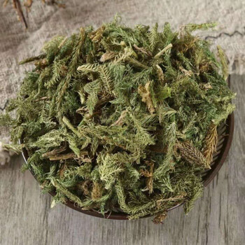 伸筋草药食滋补中草药筋骨草 舒筋草 抓打粉 500克