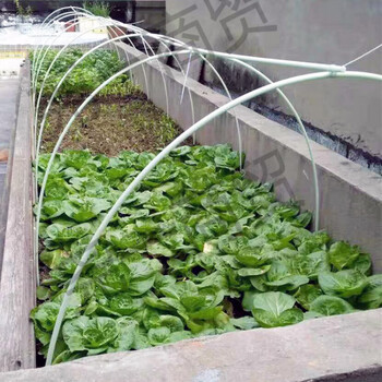 玻璃纤维棒拱竿小拱棚大棚支架菜地拱杆多肉植物育苗棚实心骨架7mm粗