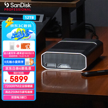 闪迪大师极客 致捷12TB 企业级桌面移动硬盘机械硬盘 雷电3兼容USB Type-C 3.5英寸大容量读写速度250MB/S