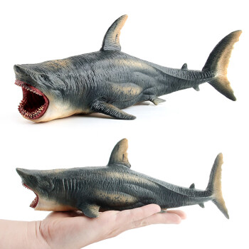 澄可  儿童海底动物模型仿真鲨鱼玩具海洋生物远古巨齿鲨模型大白鲨