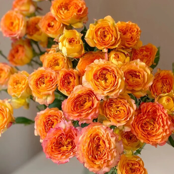 基地直发儿童节毕业送老师教师节礼物鲜花礼品[多头玫瑰] 浪漫爱人 c