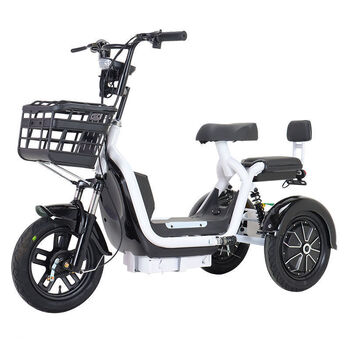 新款2022电动三轮车家用小型代步车休闲迷你双人电瓶车接送孩子48v