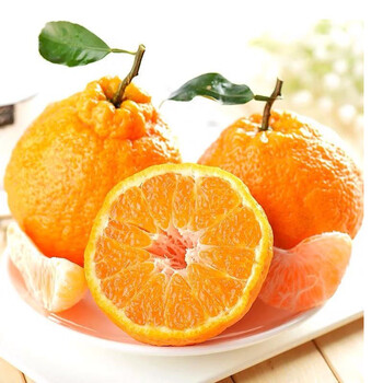 今日带货：蛋友推荐 #4