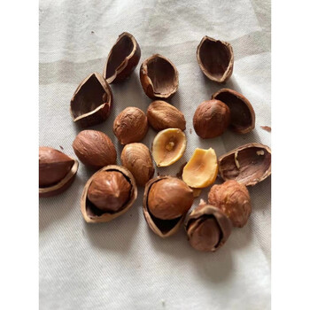 2021年新货自家榛子炒熟香甜薄皮玉坠榛子散包装东北辽特产 熟玉坠2斤