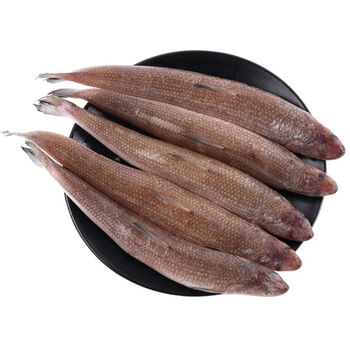 梭鱼小梭鱼大梭鱼海捕梭鱼新鲜海捕梭鱼海鲜鲜活梭鱼鲜活速冻梭鱼新鲜