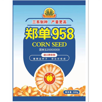 高产玉米杂交种 特大农业大田种籽孑早熟郑单958饲料孑 郑丹958玉米