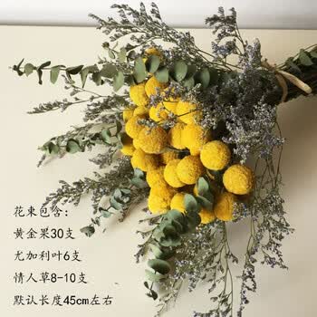 干花松果棉花尤加利叶干花北欧风ins小清新家居装饰摆件花束松果果 尤加利叶 情人草花束干花包 图片价格品牌报价 京东