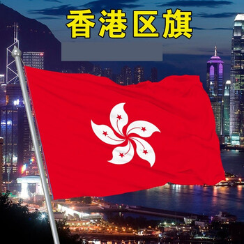 可定做厂旗彩旗团旗公司旗帜导游旗队旗仿古旗旗帜定制 中国香港区旗