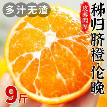 李享食丰现货速发伦晚春橙脐橙伦晚果冻香甜多汁橙子新鲜孕妇宝宝水果当季 9斤装 中果