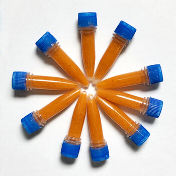 hkml水母粮珊瑚粮免孵化冰冻丰年虾卵脱壳幼虾可孵化卤幼幼鱼粮鱼饲料