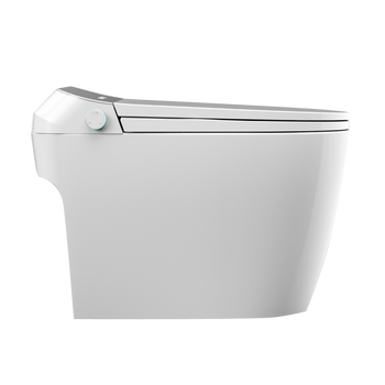 智能马桶排名（智能马桶马桶什么牌子好 排行）