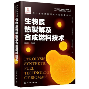 生物质热裂解及合成燃料技术(精)/现代生物质能高效利用技术丛书