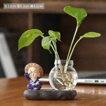店长推荐 绿萝水培花盆器皿花瓶透明玻璃插花创意水养植物花器客厅装饰摆件mm 小和尚 不看 图片价格品牌报价 京东