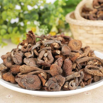 东北榛蘑干货农家土特产小鸡炖蘑菇干蘑菇榛蘑 特级榛蘑丁(家乡的味道