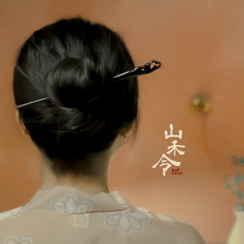 追师山河令温客行发簪古风簪子盘发日常黑檀木材质手工感挽发发簪 山禾令-黑檀 无规格