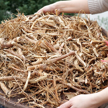 【罗浮山】野生五指毛桃土茯苓特级中药材惠州特产500g煲汤材料 1斤