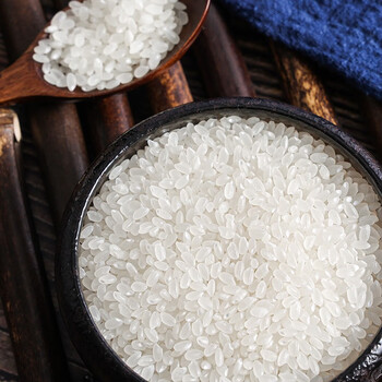 五常大米东北大米黑龙江产稻米春节年货送礼新米真空包